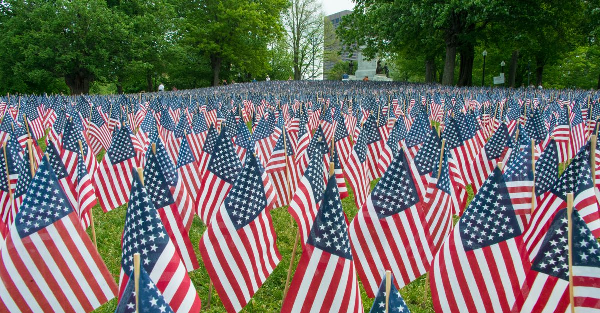 Rows of American flags in a park, symbolizing patriotism and national pride.