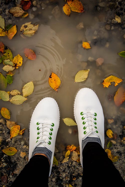 Kostenloses Stock Foto zu atmosfera de outono, herbstblatt, paar schuhe