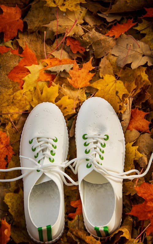 Безкоштовне стокове фото на тему «білі туфлі, взуття, Кленові листи»