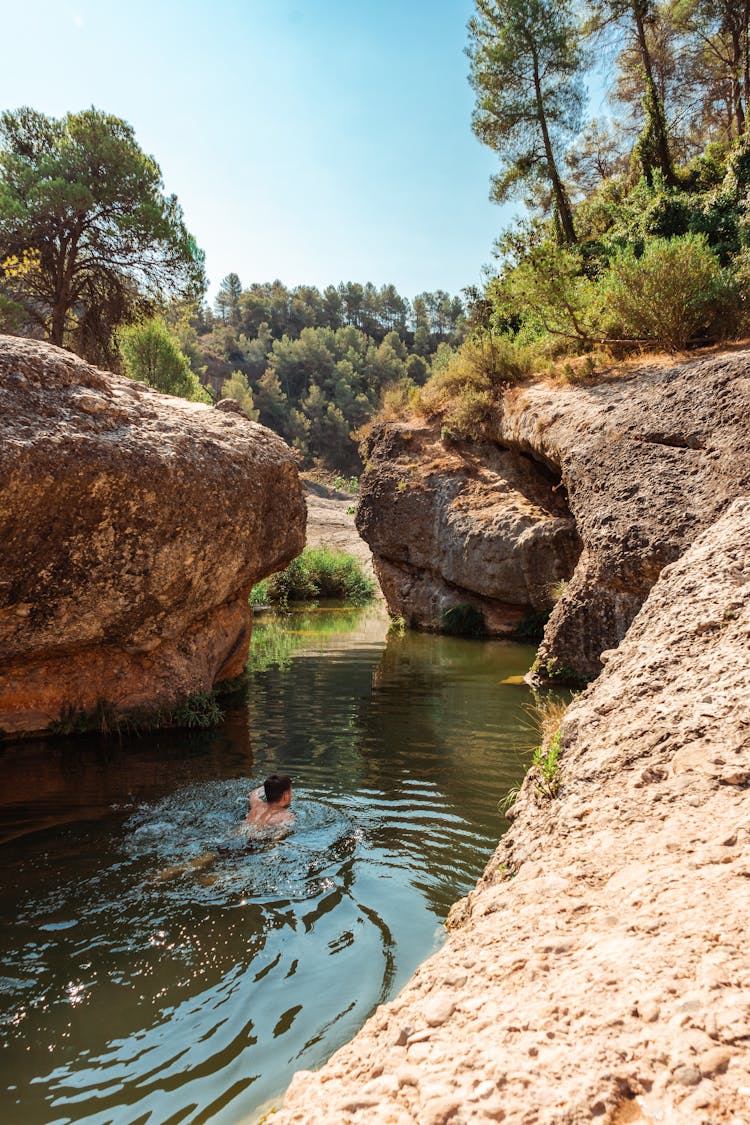 Anonymous Tourist Swimming In Lake Among Rocky Cliffs In Forest