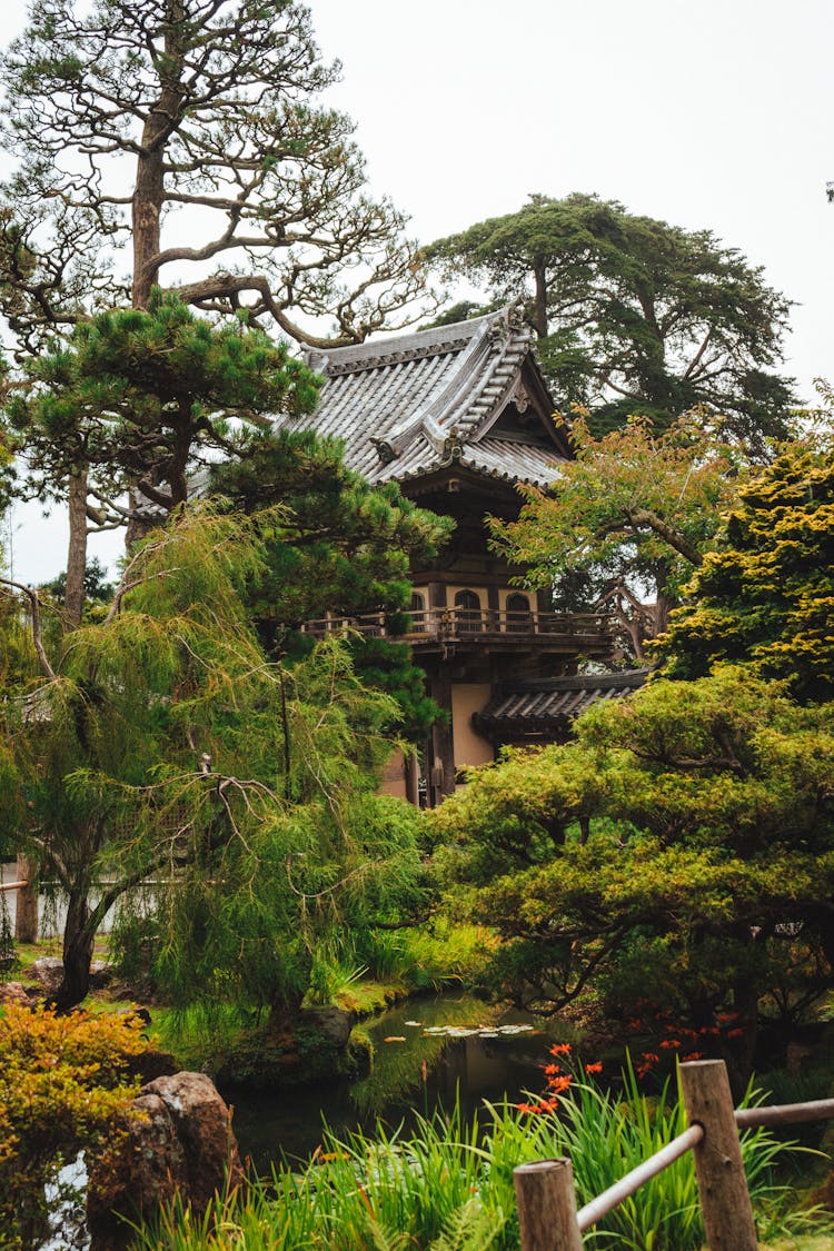 Japanese House Near Pond In Lush Picturesque Garden