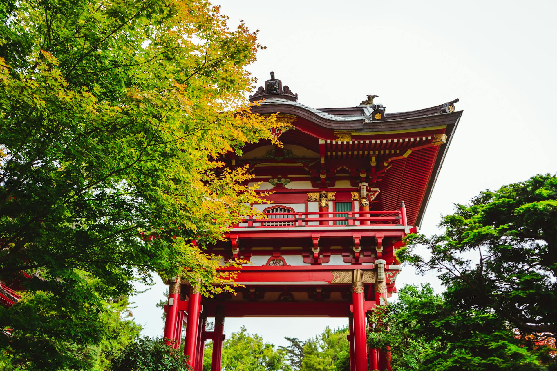 Lågt vinklat exteriör av traditionellt gammalt rött asiatiskt tempel omgivet av frodiga gröna träd i japansk te trädgård i San Francisco på en solig dag