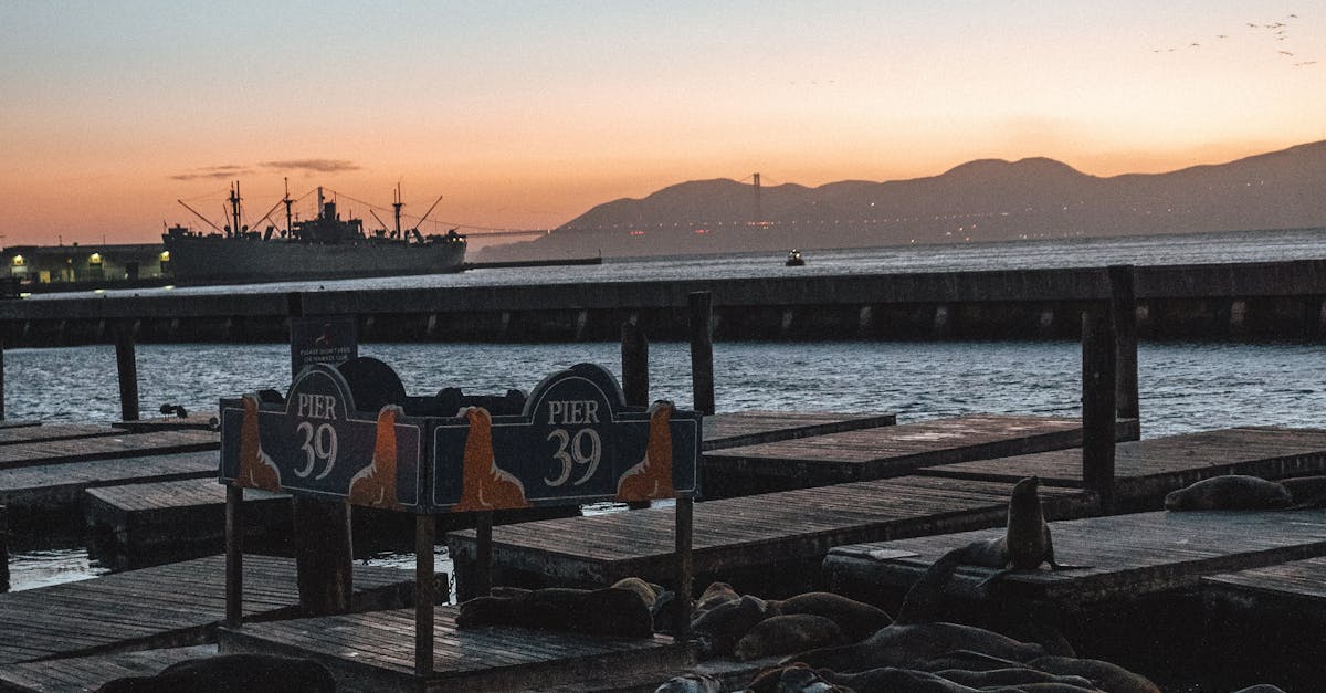 What does canon ship mean in anime