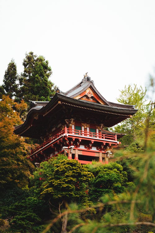 Asian temple facade among lush green trees in garden