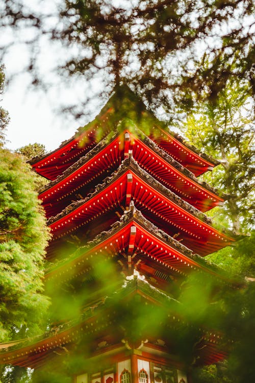 From below of traditional Asian red pagoda located in green Japanese Tea Garden with lush trees on sunny day in San Francisco