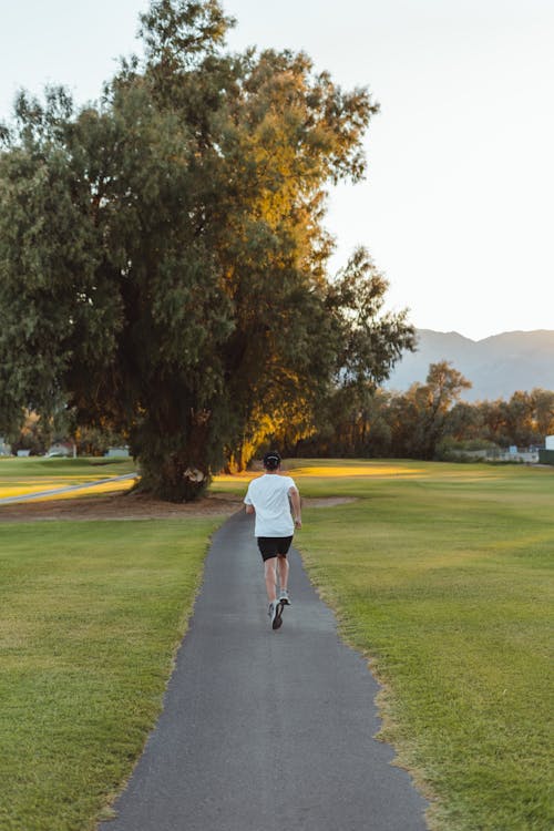 Femme Méconnaissable Jogging Le Long Du Sentier Dans Le Parc