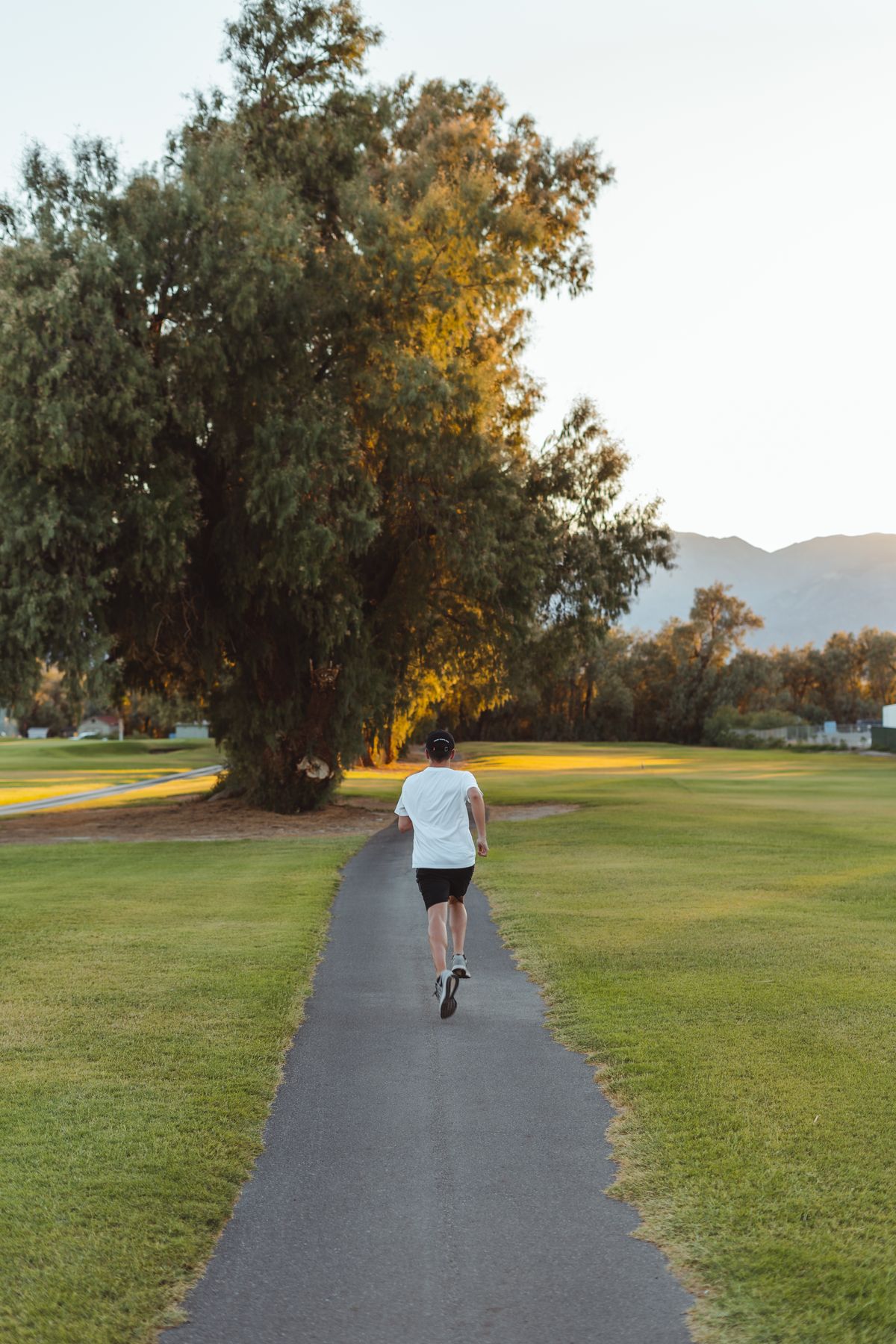 Woman jogging along a footpath in a sunlit park