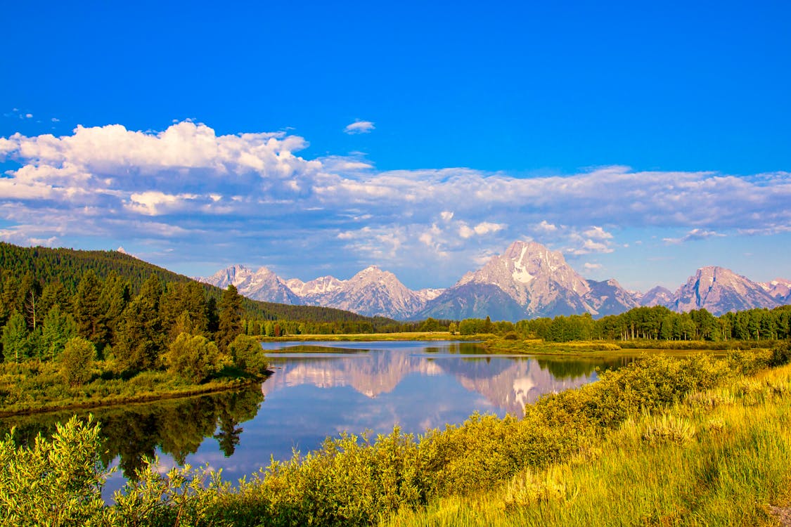 Green Trees Near Lake Under Blue Sky · Free Stock Photo