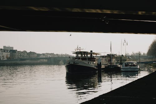 White and Black Boat on Dock