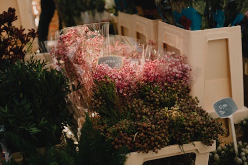 Flower Bouquets