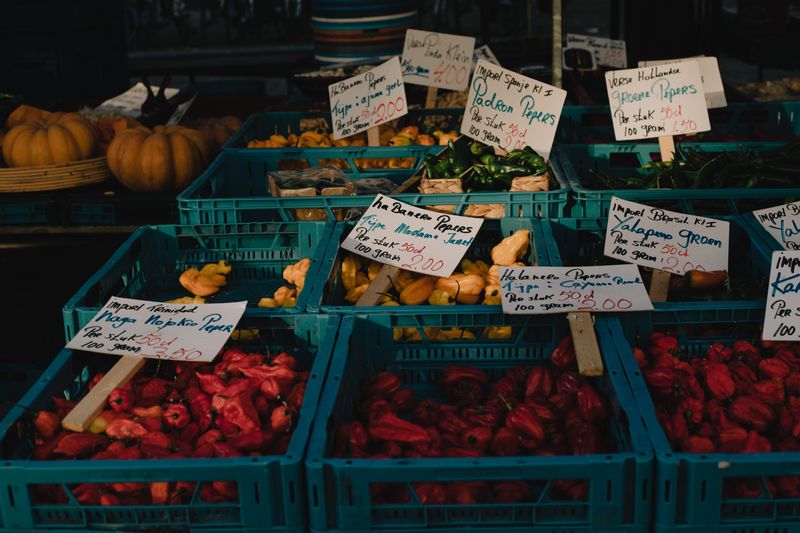 Food & Grocery