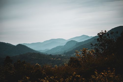 Free Spectacular scenery of huge mountain range covered with lush green trees against overcast sky Stock Photo
