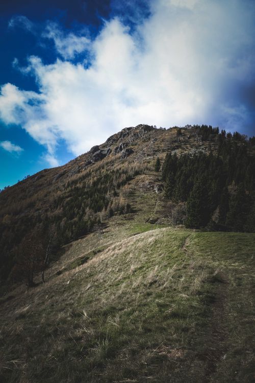 Free Scenery landscape of rocky hilltop covered with grass and evergreen trees under clouds on blue sky Stock Photo