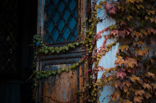 Free Aged abandoned building with rusty entrance Stock Photo