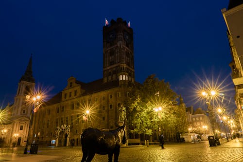 Free stock photo of toruń by night