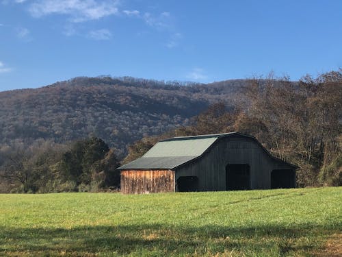 Free stock photo of barn, field, mountain