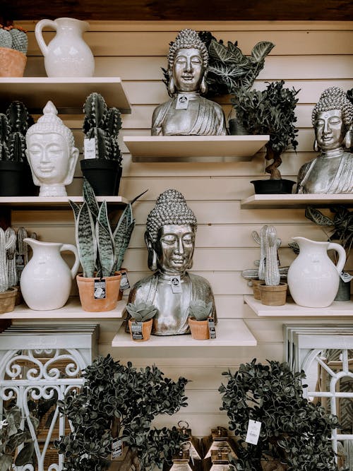 Collection of various potted houseplants and Buddha busts displayed on shelves in light modern souvenir store