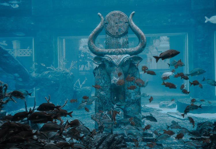 Sculptures In The Lost City Of Atlantis