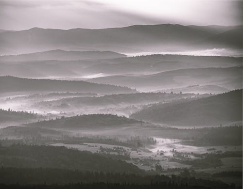 Základová fotografie zdarma na téma černobílý, fotografie přírody, jednobarevný