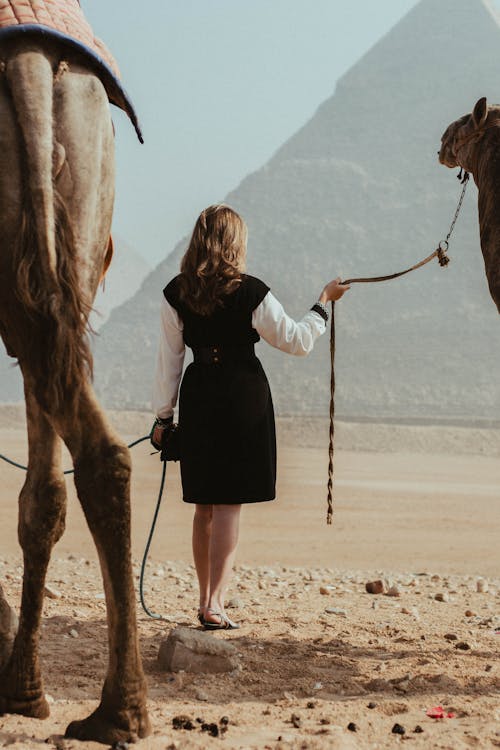 Kobieta W Czarnej Sukni Z Długim Rękawem Stojącej Obok Brązowego Konia