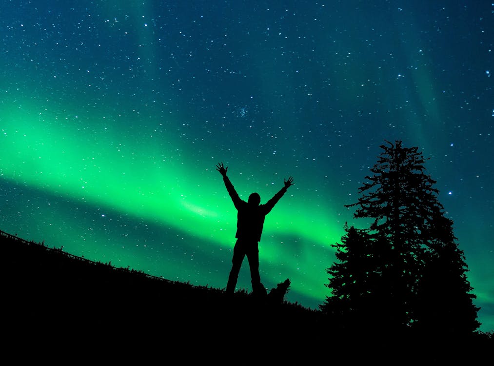 Δωρεάν στοκ φωτογραφιών με aurora borealis, Αλάσκα, άνδρας