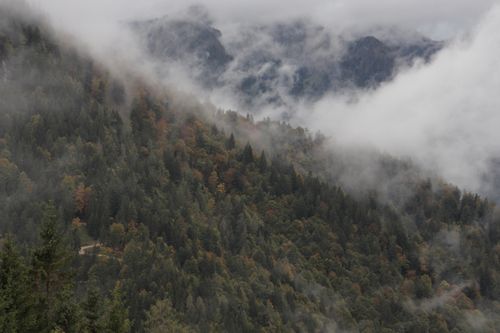 Free A misty aerial view of a lush mountain forest in Austria, shrouded in clouds. Stock Photo