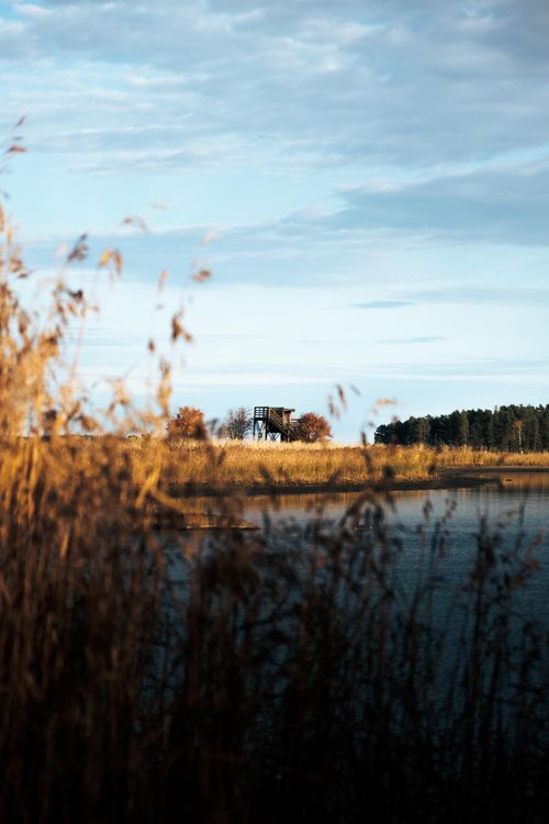 Free Experience the peacefulness of a fall landscape with a calm lake and distant trees. Stock Photo