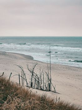 A serene and moody beach scene with waves and sparse vegetation in Neringa, Lithuania.