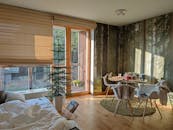 Sunlight Door and Window in a Cozy Home