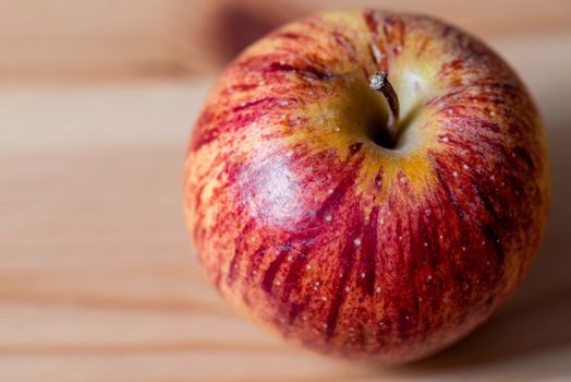 Apple Therapeutic Nutrition