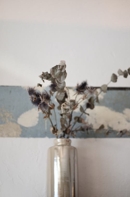 Dry plant sprigs in vase near wall at home