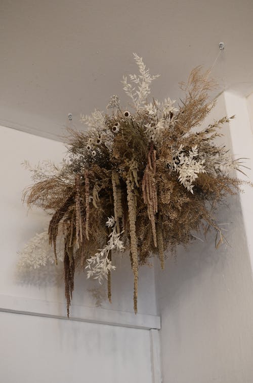 From below of assorted dry plants and flowers hanging on white wall at home