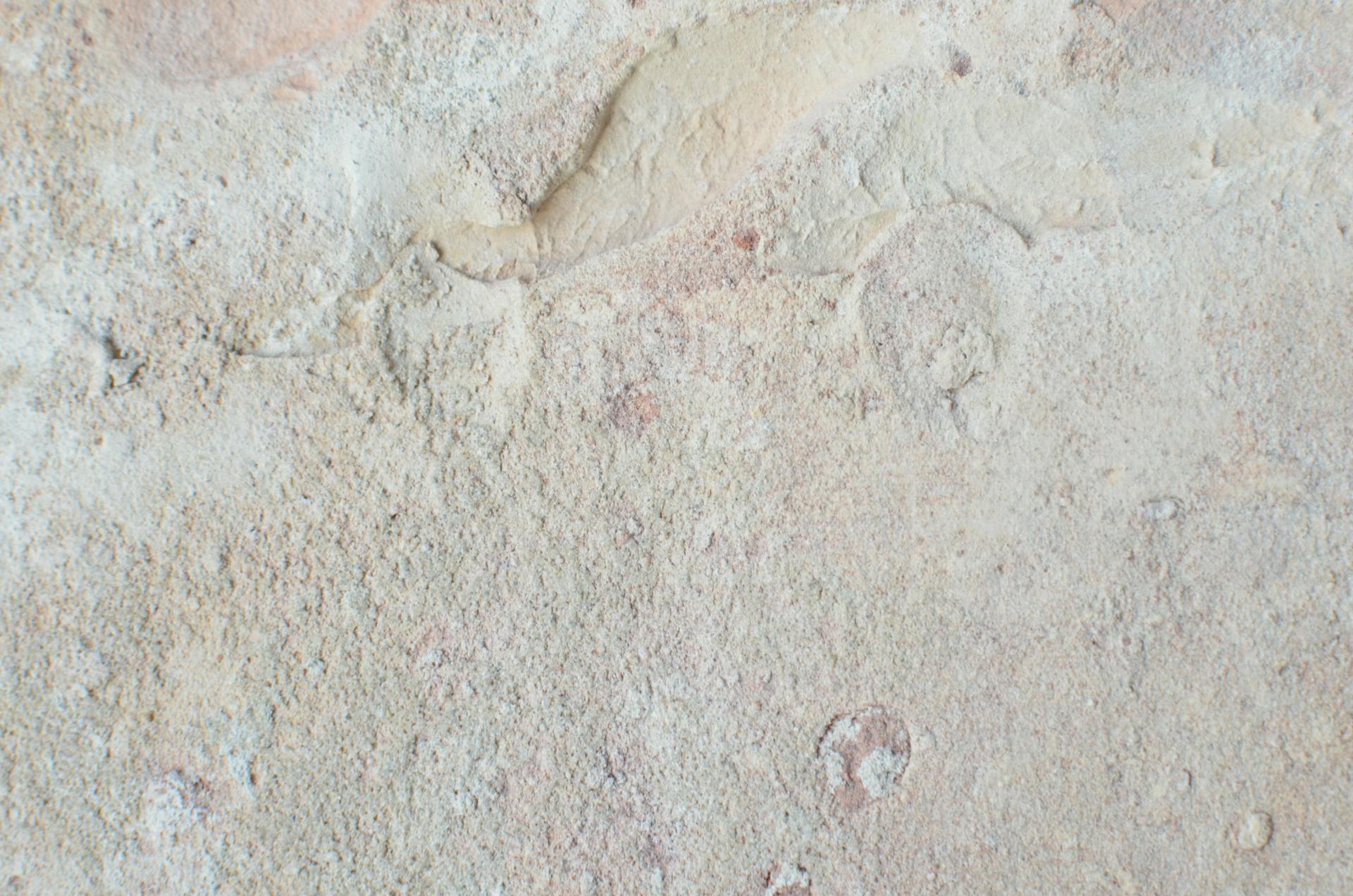 From above of abstract backdrop of old wall with beige stucco and uneven surface with dense texture