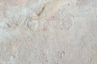 From above of abstract backdrop of old wall with beige stucco and uneven surface with dense texture