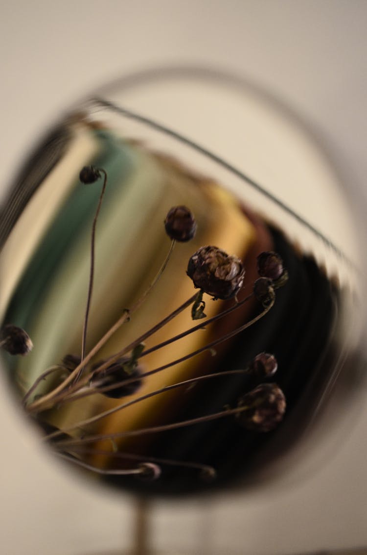 Round Table Mirror Reflecting Dry Plant