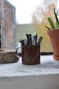 Cup with pencils on windowsill near potted plant