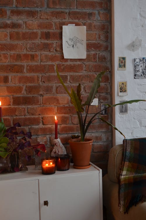 Interior of room in loft style with wooden cabinet decorated with potted plants and burning candles near sofa