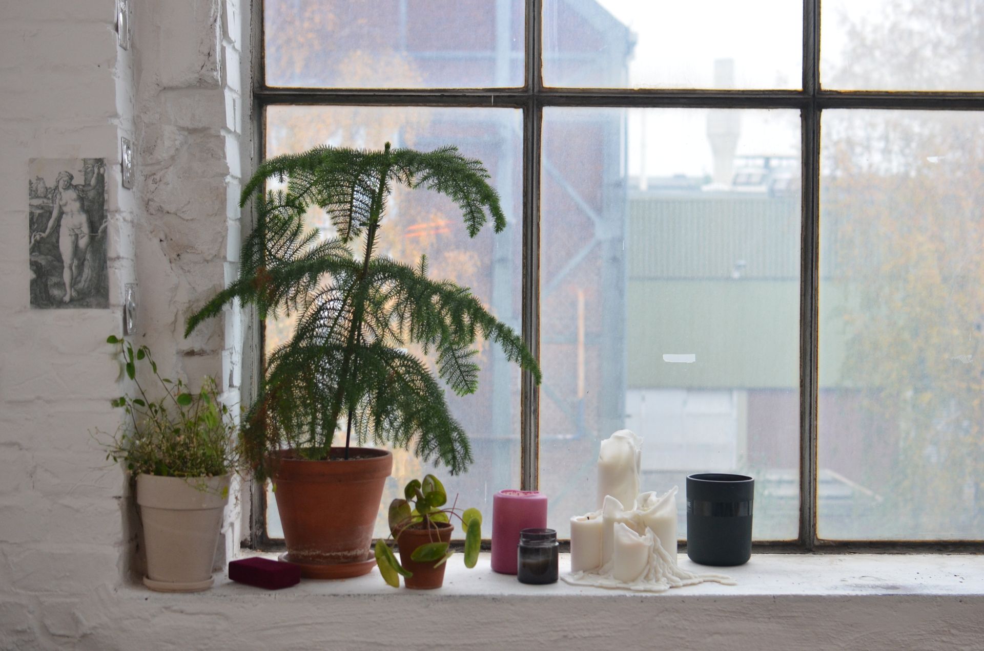 A serene indoor setting featuring potted plants and candles on a windowsill, perfect for home decor inspiration.
