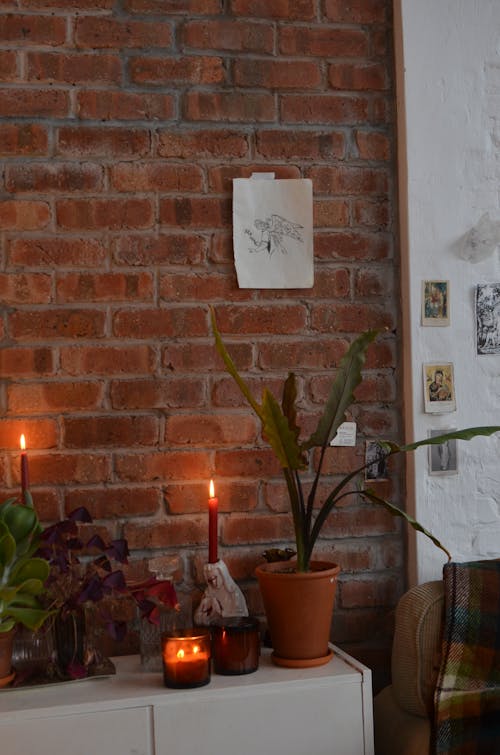 Interior of room with brick wall and burning candles near potted plants in loft style flat