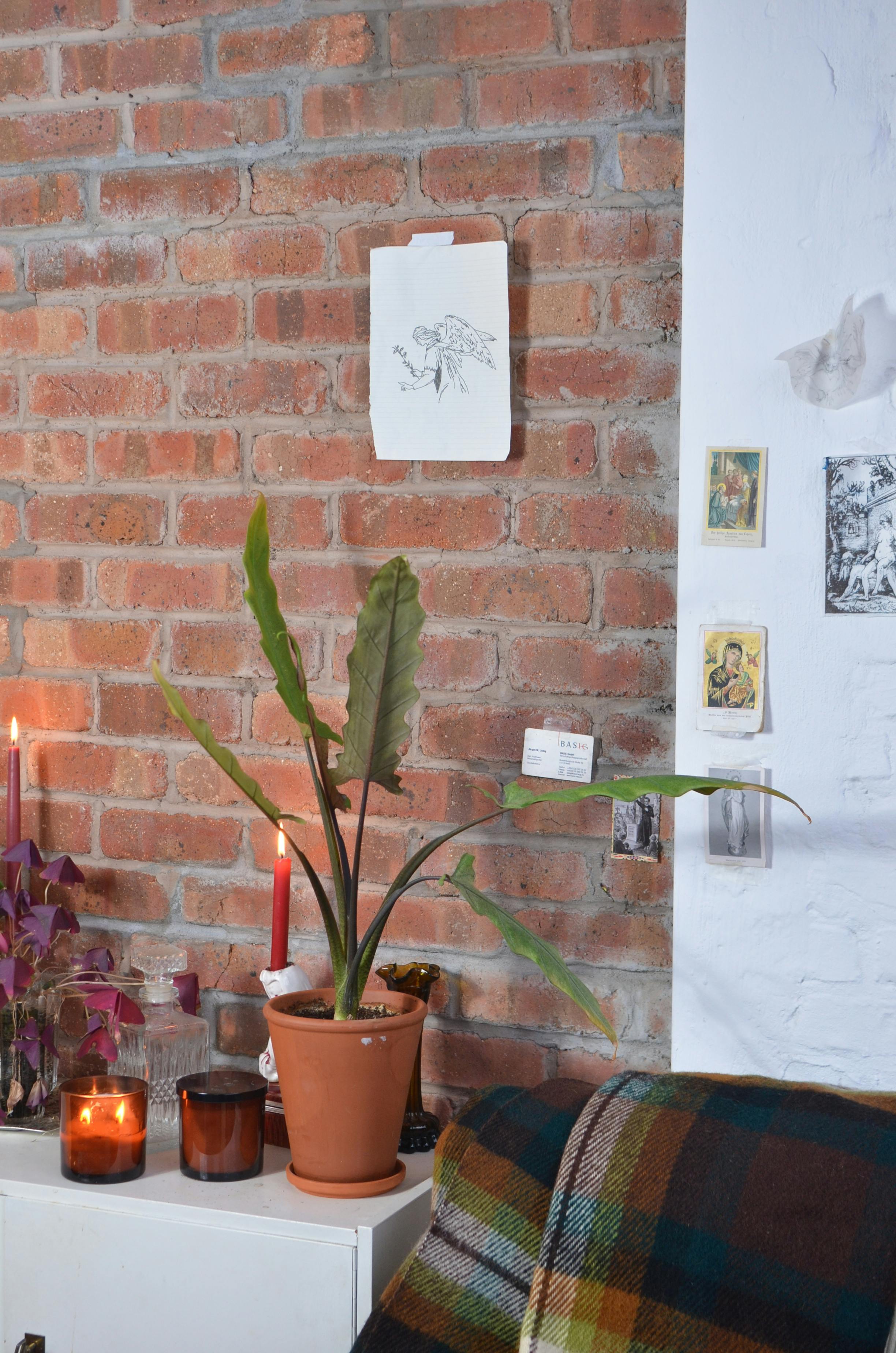 flowerpot with candles on shelf