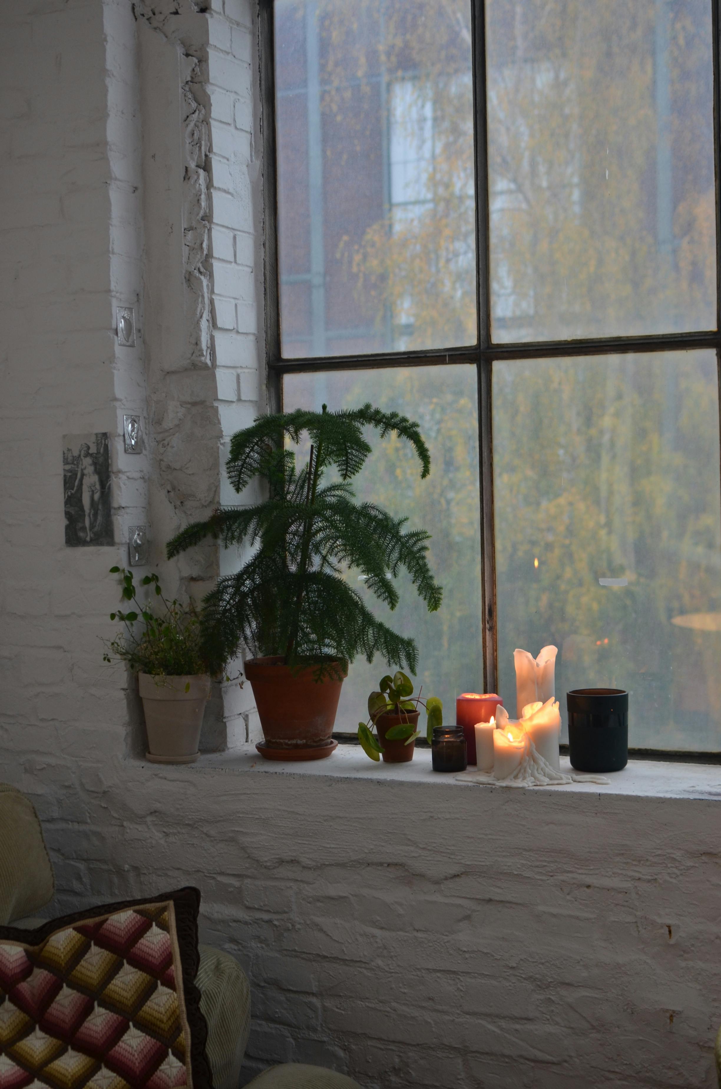 potted plants and burning candles against window in house