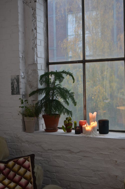 Assorted green plants with flaming candles on windowsill in room with rough whitewashed brick walls in evening