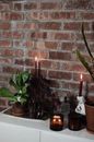 Flaming candles with potted plants against brick wall