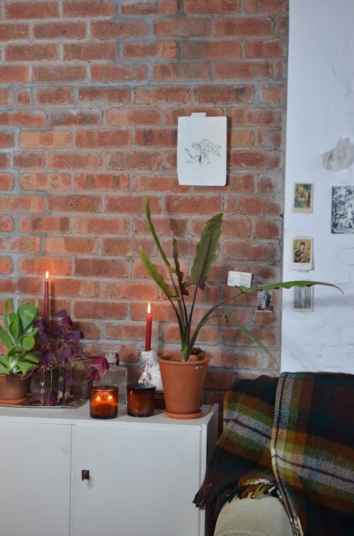 Free Potted plants with flaming candles on table between brick wall and ornamental plaid in house Stock Photo
