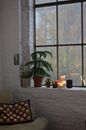 Cozy room interior with sofa and plants on windowsill