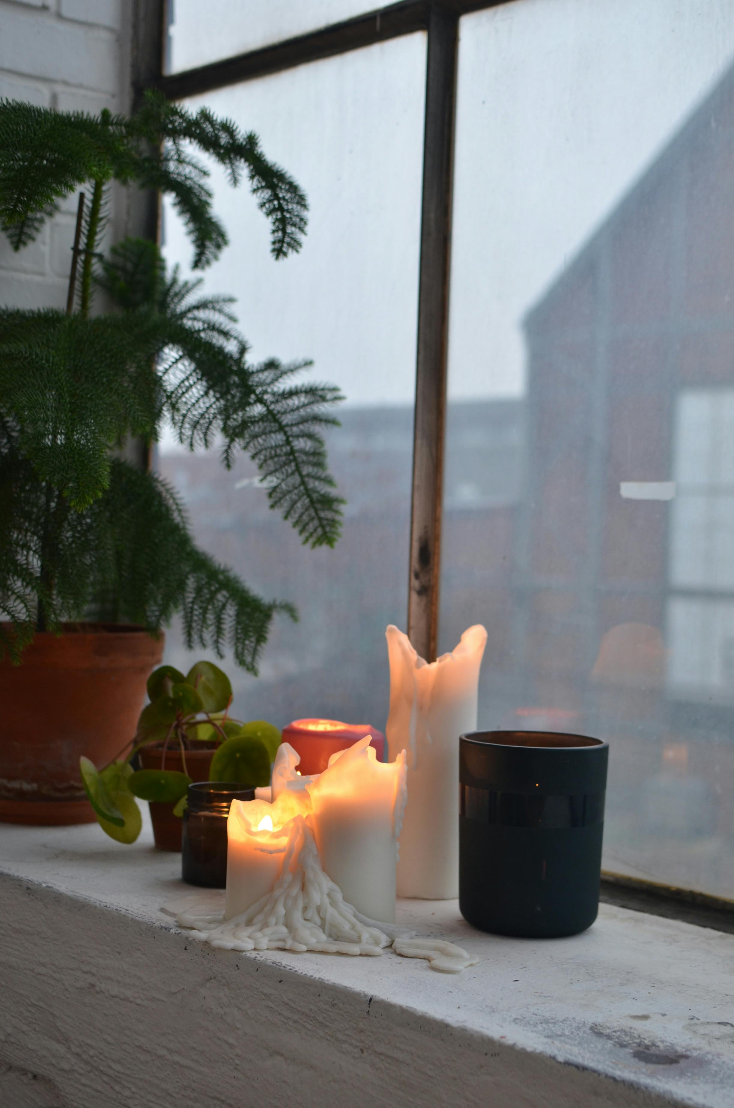 Burning candles with plants on windowsill in house room · Free Stock Photo