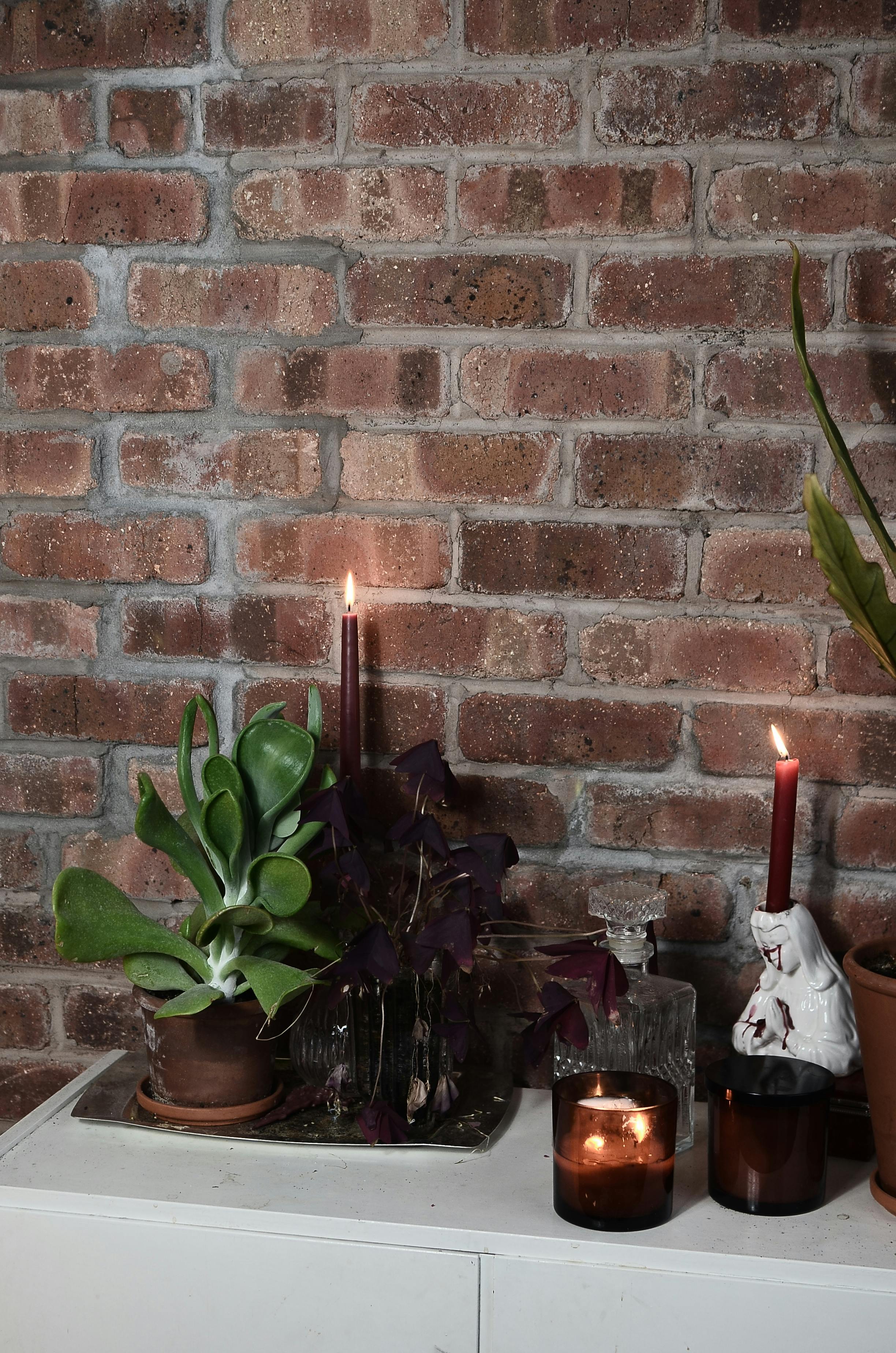 burning candles with green plants against brick wall in room