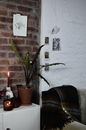 Illustrations on rough wall and commode with plants and burning wax candles in house