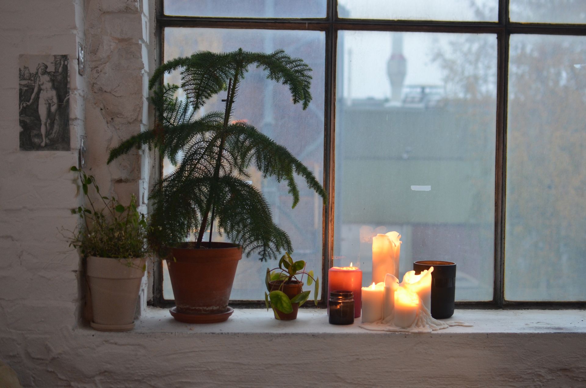 Serene indoor scene with candles and potted plants on a windowsill.