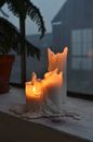 Flaming candles with melted wax near potted plant and window in house at night